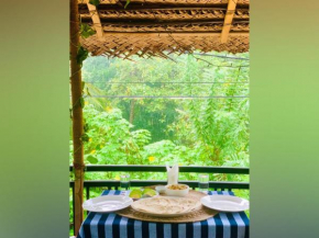 Vinu’s Place